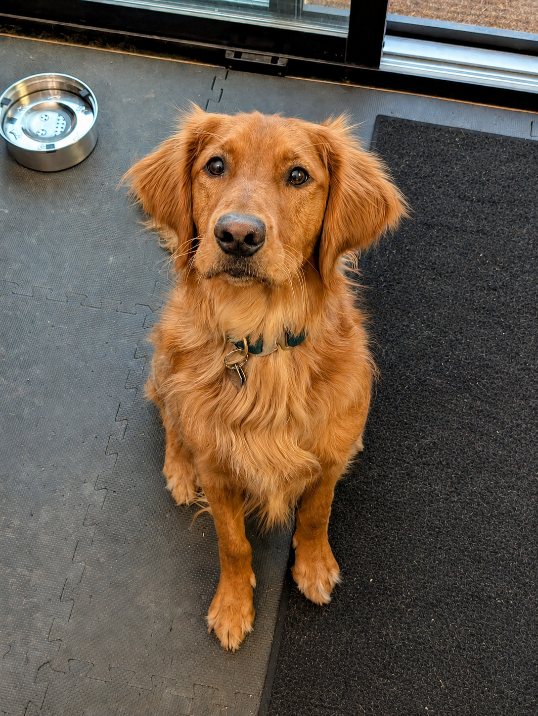 Richard's dog Teddy